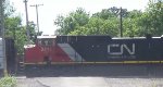 CN A43171